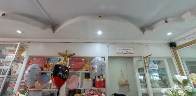 Florería Primavera Antofagasta Phone number