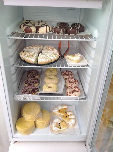 Andrés Bello 0297, L2, 8162982 Puente Alto, Región Metropolitana