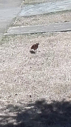 Avenida San Sebastián, El Aromo 956, Concepción, Bío Bío