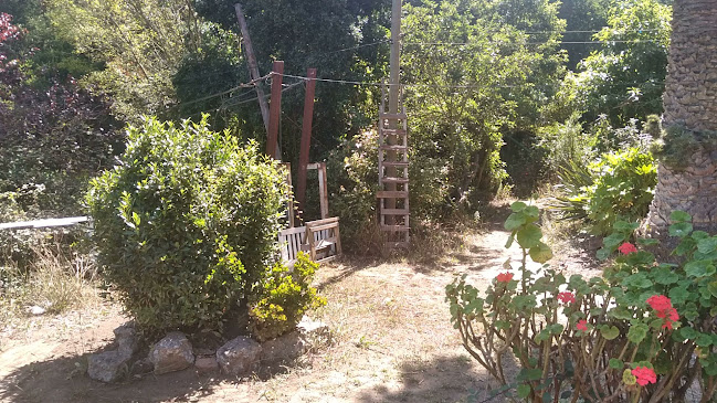 Opinii despre Restaurant El Plateado în Valparaíso - Gastronomía y hostelería