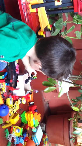 Hornos Don Víctor - Chicureo