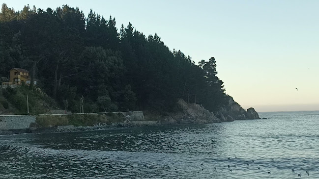 Opinii despre Restaurant Tia Pabla în Tome - Gastronomía y hostelería