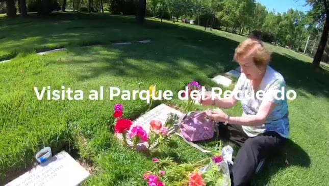 Restaurant Piedra Run Open Times