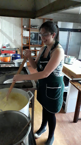 el viejo tiroles - Frutillar Bajo