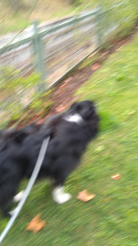 Fortunata Phone number