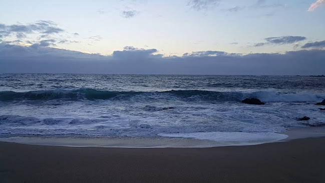 Opinii despre Terrazas Punta De Tralca în Isla Negra - Gastronomía y hostelería
