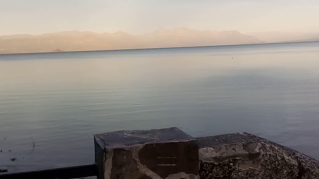 Opinii despre Restaurant el Rey del Marisco de Villarrica în Villarrica - Gastronomía y hostelería