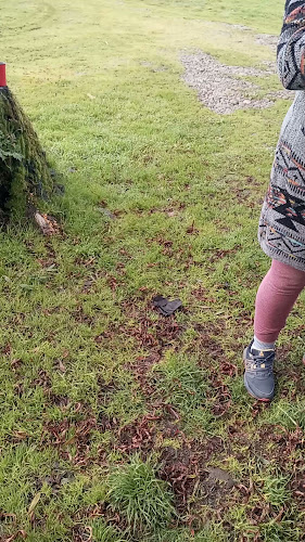 Comments and reviews of Panadería Y Pastelería "TU PAN"