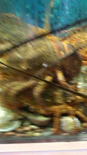 Reviews of Delamar in Viña del Mar - Gastronomía y hostelería