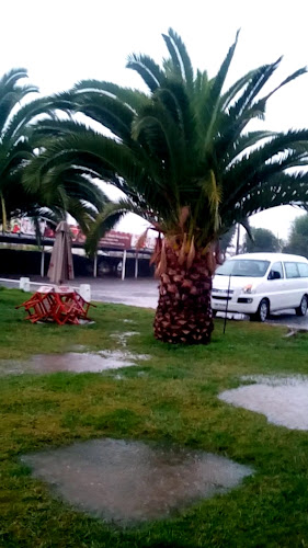 El Novillero Ruta 5 Sur - San Bernardo