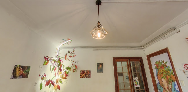 Xoco Por Ti - Chocolate Bar-cafetería