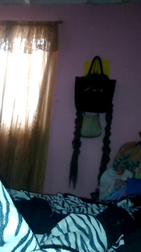 Casa Rocio Open Times