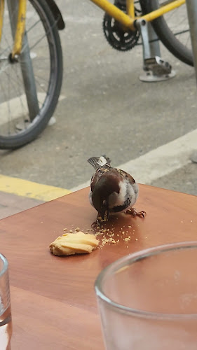 Maipú 183-199, Valdivia, Los Ríos