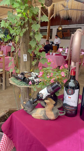 Opinii despre Restaurante La Vaquita Echá în Pirque - Gastronomía y hostelería