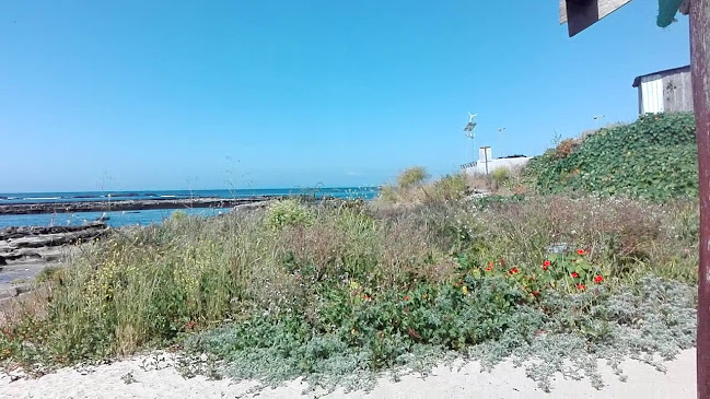 Restaurant De Turismo Yarival - Gastronomía y hostelería