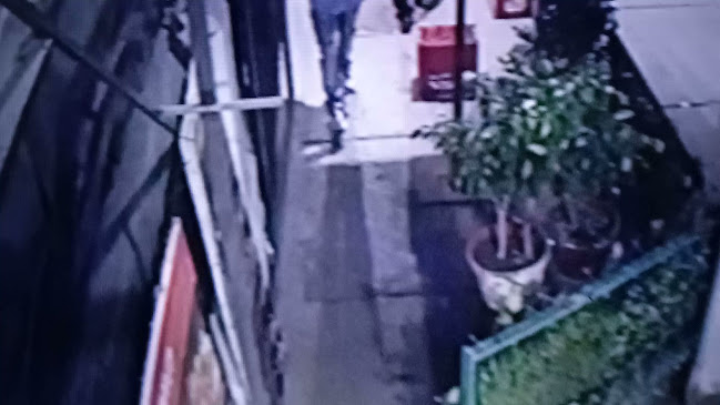 Restaurante Santa Rosa De Lima - Gastronomía y hostelería