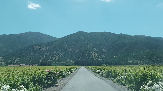 Restaurant Club House Casa Silva - Gastronomía y hostelería