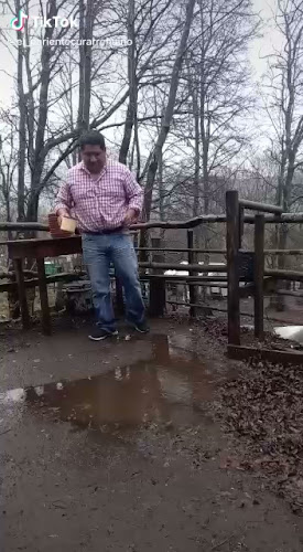 Opinii despre La Fiesta în Talagante - Gastronomía y hostelería