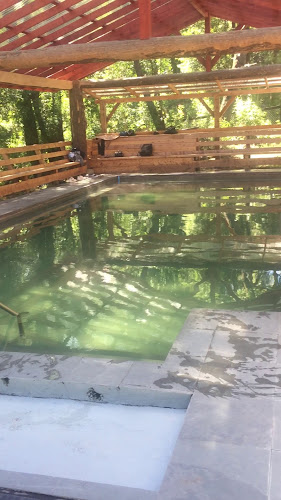 Termas Quilalelfu - Gastronomía y hostelería