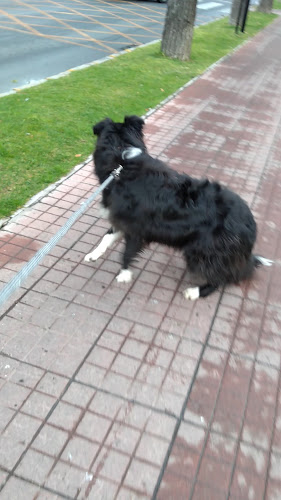 Fortunata - Gastronomía y hostelería