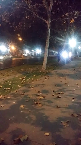 Comentarii opinii despre Carrer Nou