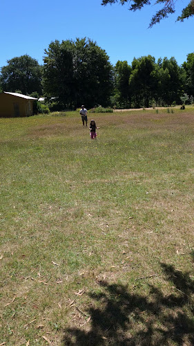 2201202, Punucapa, Los Ríos