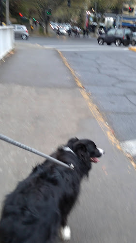 Fortunata Open Times