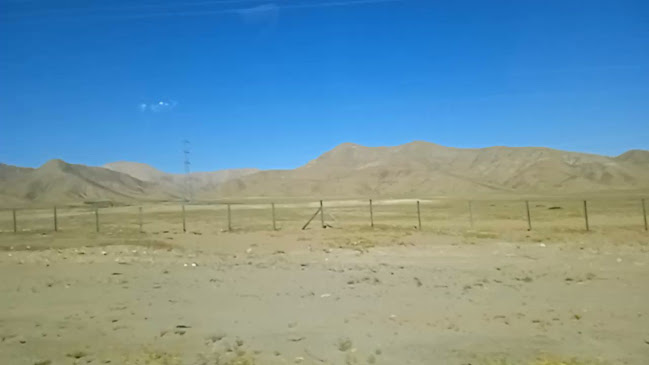 Desierto Florido Atacama