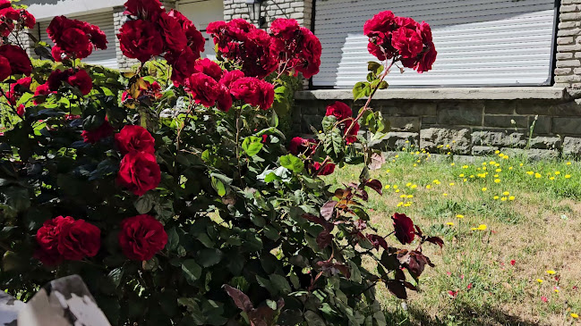 Comentarii opinii despre Bariloche