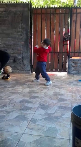 Comentarii opinii despre Los troncos