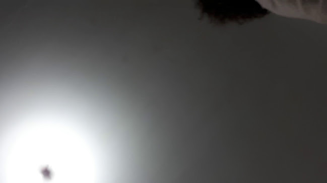 Casa Rocio - Gastronomía y hostelería