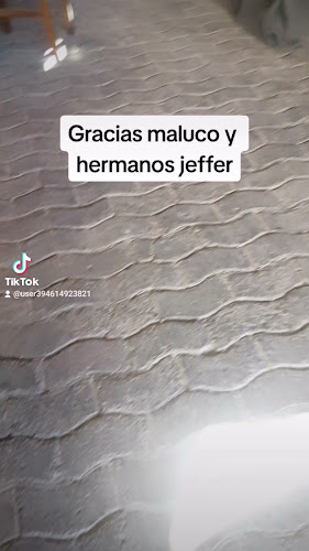 Carrera 335, 1760765 Vicuña, Coquimbo