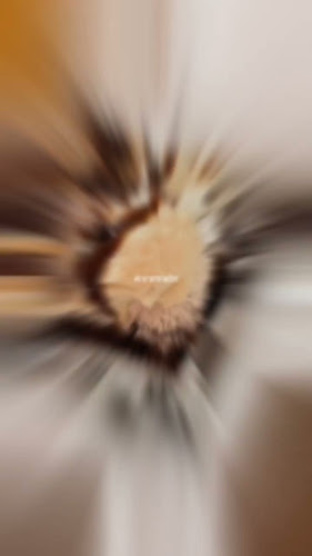 Waffles Acaramelados.quisco - Gastronomía y hostelería