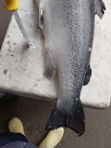 Ferias libres - Ñuñoa