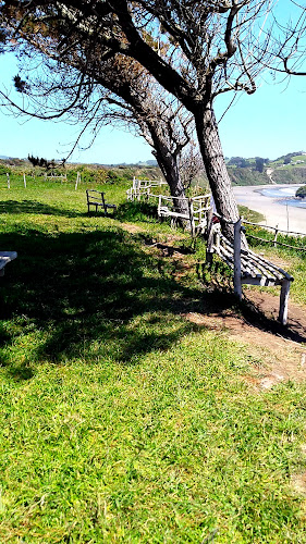 Cafeteria Run - Ancud