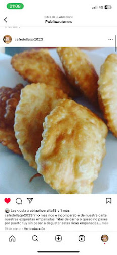 Camino Internacional s/n, Puerto Fuy, Panguipulli, Los Ríos