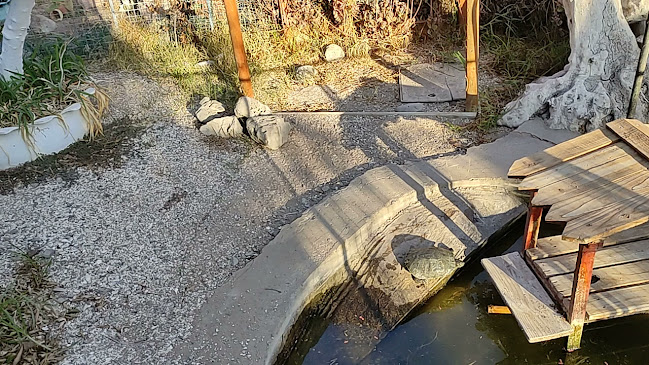 Entre Olivos - Gastronomía y hostelería