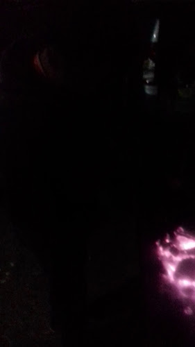 Comments and reviews of Camping El Manzano