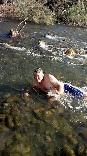 Longitudinal Sur, Sector: Peor Es Nada - Perquilauquén 270, San Javier de Loncomilla, Maule