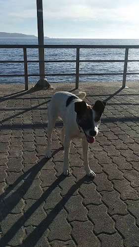 Restaurante "El Parrón" - Gastronomía y hostelería