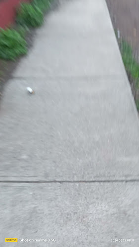 Comentarii opinii despre McDonald's La Florida