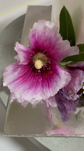 Alexandra.bagnara Reposteria creativa Open Times