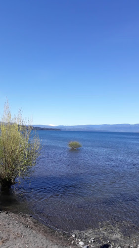 Restaurant el Rey del Marisco de Villarrica - Villarrica