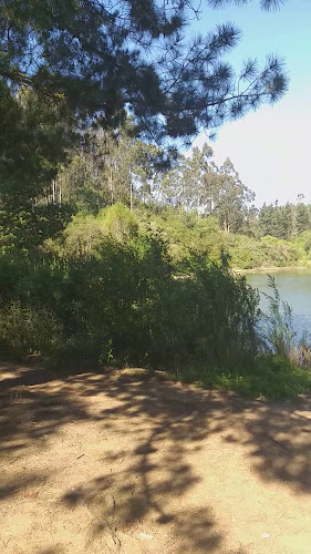 Restaurant El Plateado - Valparaíso