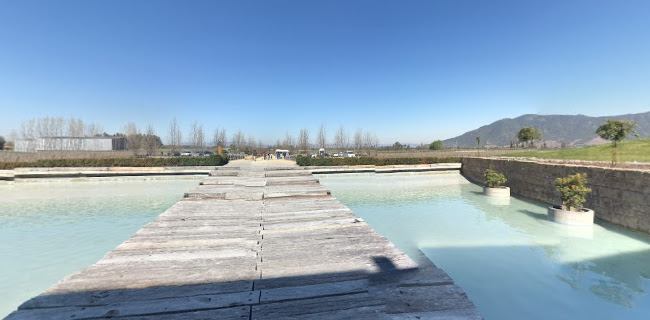 Opinii despre Viña Montes Alpha în Santa Cruz - Gastronomía y hostelería