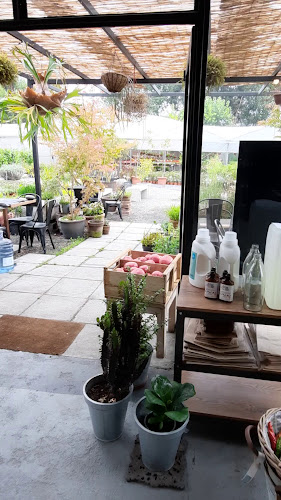 Café Jardinero Open Times