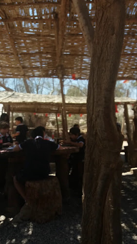 Restaurante Puro Chile - Gastronomía y hostelería