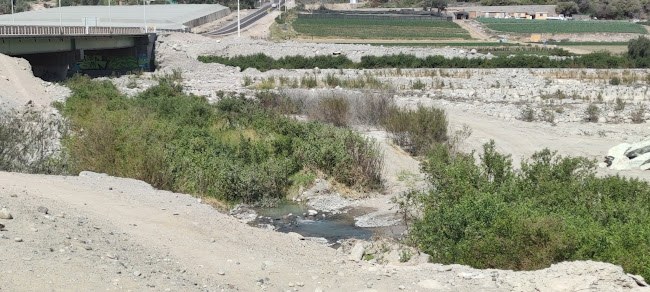 Comentarii opinii despre Restaurante Puro Chile