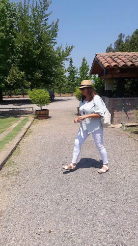 3070000, San Fernando, O'Higgins