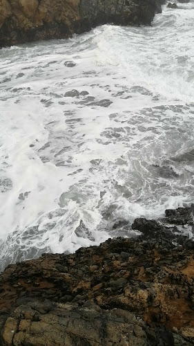 Cafetería Ruka Pulli - Gastronomía y hostelería